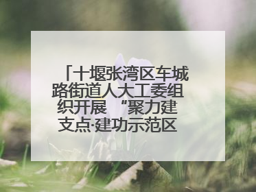 十堰张湾区车城路街道人大工委组织开展 “聚力建支点·建功示范区”代表行动