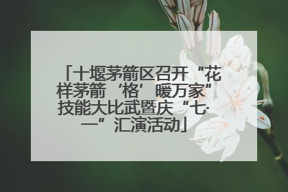 十堰茅箭区召开“花样茅箭‘格’暖万家”技能大比武暨庆“七·一”汇演活动