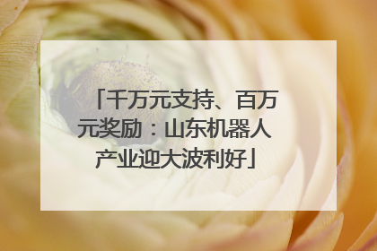 千万元支持、百万元奖励：山东机器人产业迎大波利好