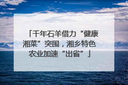 千年石羊借力“健康湘菜”突围，湘乡特色农业加速“出省”