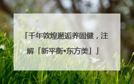 千年敦煌邂逅养固健，注解「新平衡•东方美」