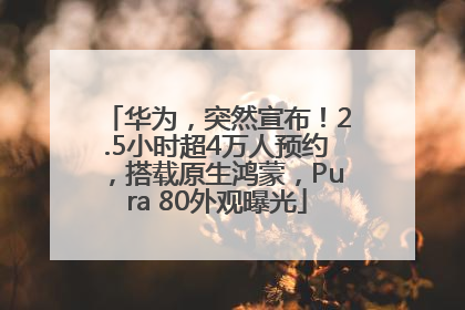 华为，突然宣布！2.5小时超4万人预约，搭载原生鸿蒙，Pura 80外观曝光