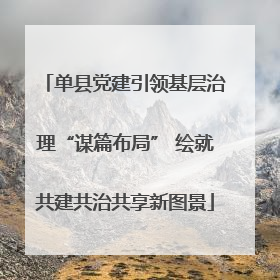单县党建引领基层治理“谋篇布局” 绘就共建共治共享新图景