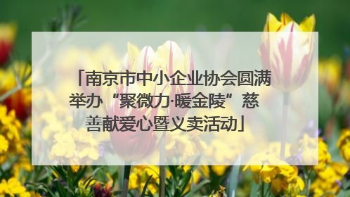 南京市中小企业协会圆满举办“聚微力·暖金陵”慈善献爱心暨义卖活动