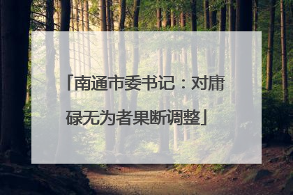 南通市委书记：对庸碌无为者果断调整