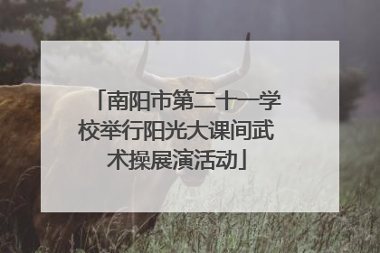 南阳市第二十一学校举行阳光大课间武术操展演活动