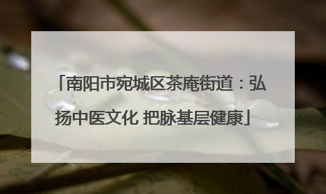 南阳市宛城区茶庵街道：弘扬中医文化 把脉基层健康
