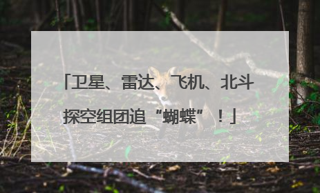卫星、雷达、飞机、北斗探空组团追“蝴蝶”！