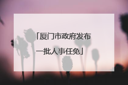 厦门市政府发布一批人事任免