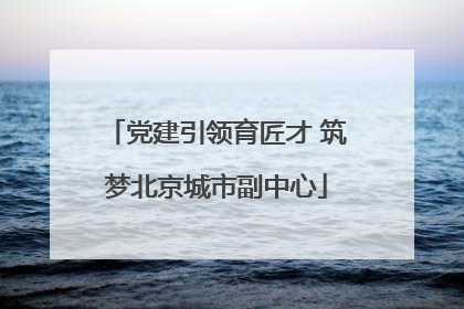 党建引领育匠才 筑梦北京城市副中心