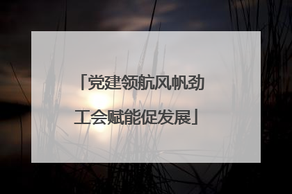 党建领航风帆劲 工会赋能促发展