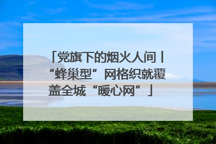 党旗下的烟火人间丨“蜂巢型”网格织就覆盖全城“暖心网”