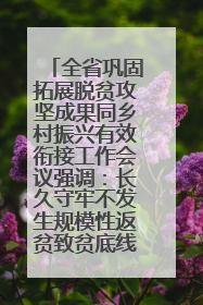 全省巩固拓展脱贫攻坚成果同乡村振兴有效衔接工作会议强调：长久守牢不发生规模性返贫致贫底线 王宁出席并讲话 王予波主持