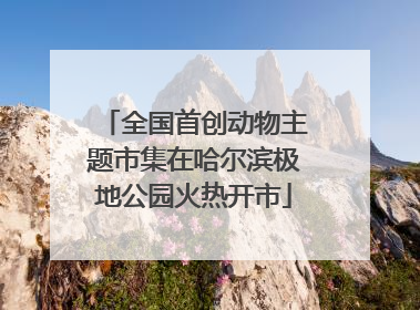 全国首创动物主题市集在哈尔滨极地公园火热开市