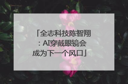 全志科技陈智翔：AI穿戴眼镜会成为下一个风口