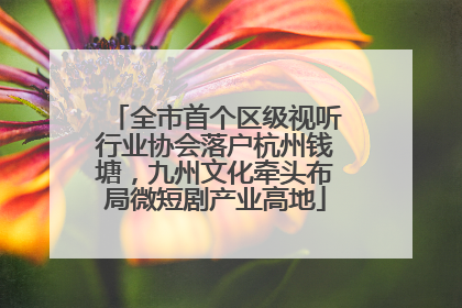 全市首个区级视听行业协会落户杭州钱塘，九州文化牵头布局微短剧产业高地