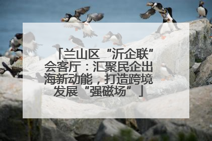 兰山区“沂企联”会客厅：汇聚民企出海新动能，打造跨境发展“强磁场”
