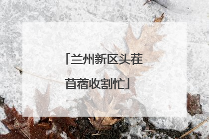 兰州新区头茬苜蓿收割忙