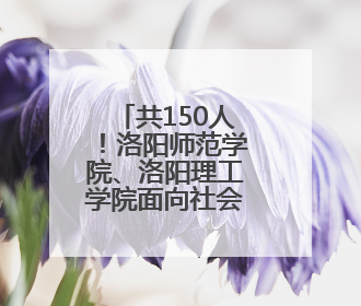 共150人！洛阳师范学院、洛阳理工学院面向社会公开招聘