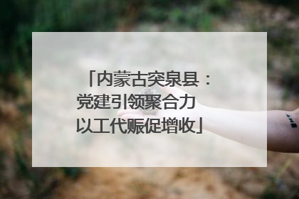 内蒙古突泉县：党建引领聚合力 以工代赈促增收