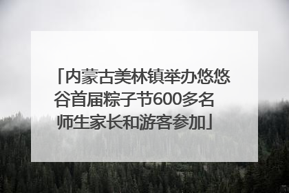 内蒙古美林镇举办悠悠谷首届粽子节600多名师生家长和游客参加