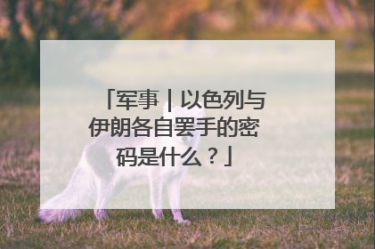 军事｜以色列与伊朗各自罢手的密码是什么？