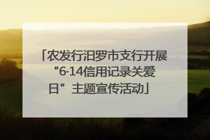农发行汨罗市支行开展“6·14信用记录关爱日”主题宣传活动