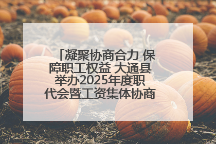 凝聚协商合力 保障职工权益 大通县举办2025年度职代会暨工资集体协商现场观摩交流活动