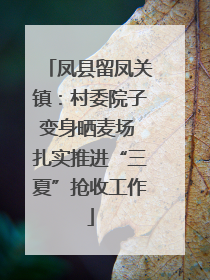 凤县留凤关镇：村委院子变身晒麦场 扎实推进“三夏”抢收工作