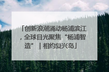 创新浪潮涌动杨浦滨江，全球目光聚焦“杨浦智造”｜相约复兴岛
