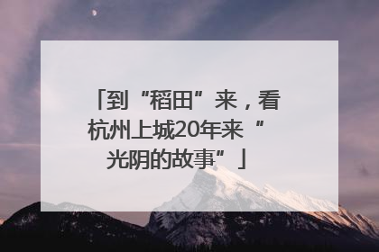 到“稻田”来，看杭州上城20年来“光阴的故事”