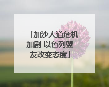 加沙人道危机加剧 以色列盟友改变态度