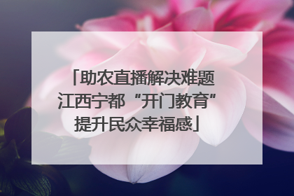 助农直播解决难题 江西宁都“开门教育”提升民众幸福感