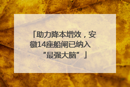 助力降本增效，安徽14座船闸已纳入“最强大脑”