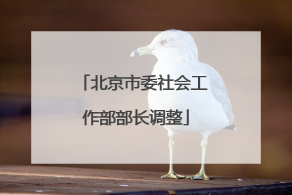 北京市委社会工作部部长调整