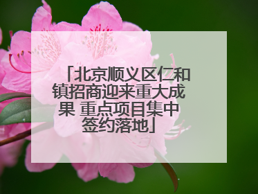 北京顺义区仁和镇招商迎来重大成果 重点项目集中签约落地
