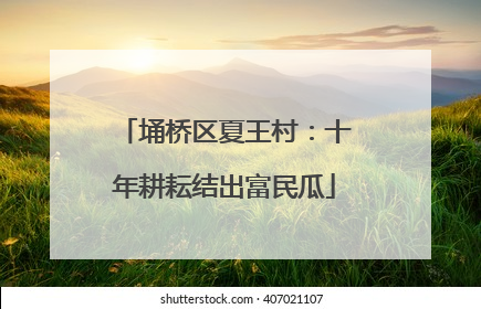 埇桥区夏王村：十年耕耘结出富民瓜