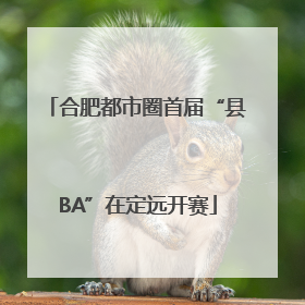 合肥都市圈首届“县BA”在定远开赛