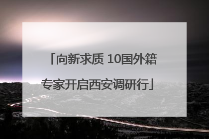 向新求质 10国外籍专家开启西安调研行