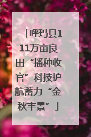 呼玛县111万亩良田“播种收官”科技护航蓄力“金秋丰景”