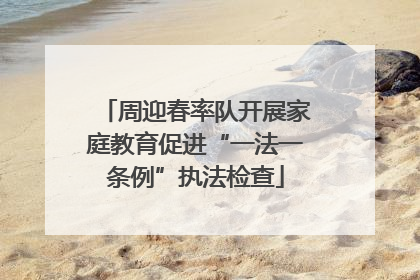 周迎春率队开展家庭教育促进“一法一条例”执法检查