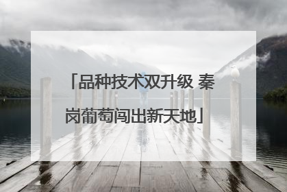 品种技术双升级 秦岗葡萄闯出新天地