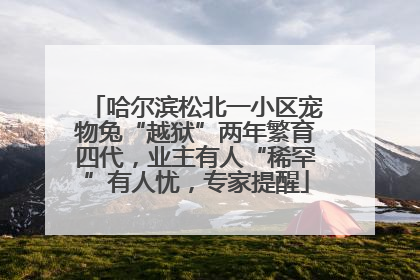哈尔滨松北一小区宠物兔“越狱”两年繁育四代，业主有人“稀罕”有人忧，专家提醒