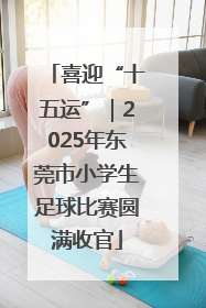 喜迎“十五运”｜2025年东莞市小学生足球比赛圆满收官