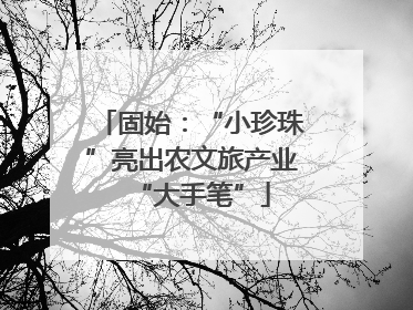 固始：“小珍珠”亮出农文旅产业“大手笔”