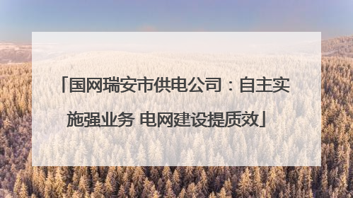 国网瑞安市供电公司：自主实施强业务 电网建设提质效