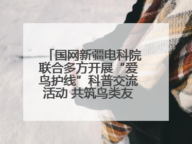 国网新疆电科院联合多方开展“爱鸟护线”科普交流活动 共筑鸟类友好城市