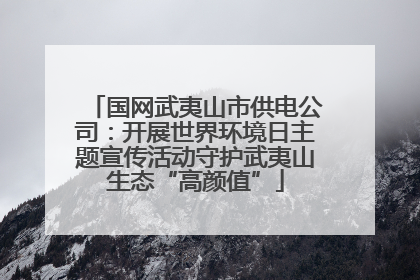 国网武夷山市供电公司：开展世界环境日主题宣传活动守护武夷山生态“高颜值”