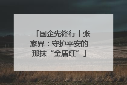 国企先锋行丨张家界：守护平安的那抹“金盾红”