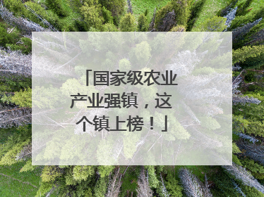 国家级农业产业强镇，这个镇上榜！